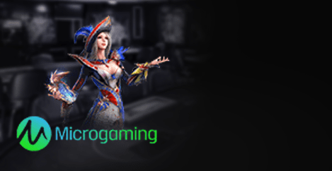 microgaming-slots